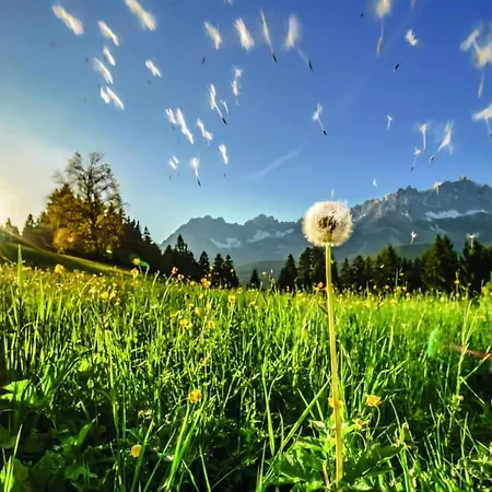 Almchalet Weberhof Lejlighed *