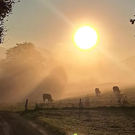 Almchalet Weberhof Lejlighed