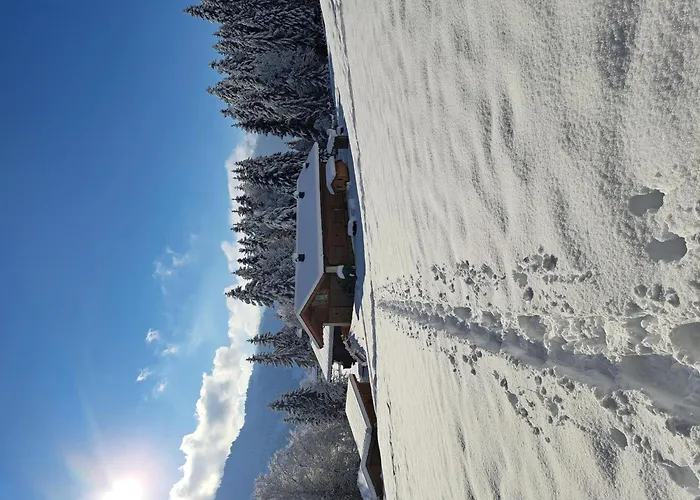 Almchalet Weberhof *