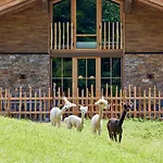 Almchalet Weberhof