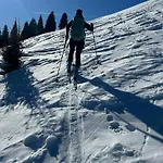 Almchalet Weberhof 公寓 Going am Wilden Kaiser