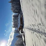 Almchalet Weberhof *