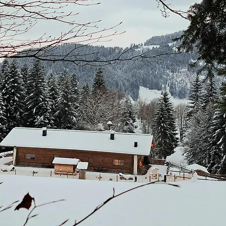 شقة Almchalet Weberhof *