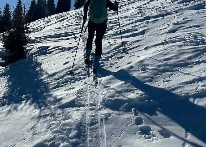 Almchalet Weberhof Апартаменты Going am Wilden Kaiser