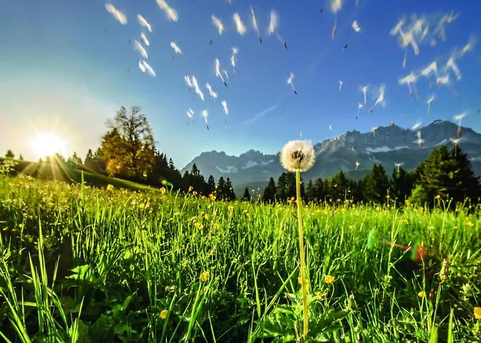 Almchalet Weberhof Апартаменты *