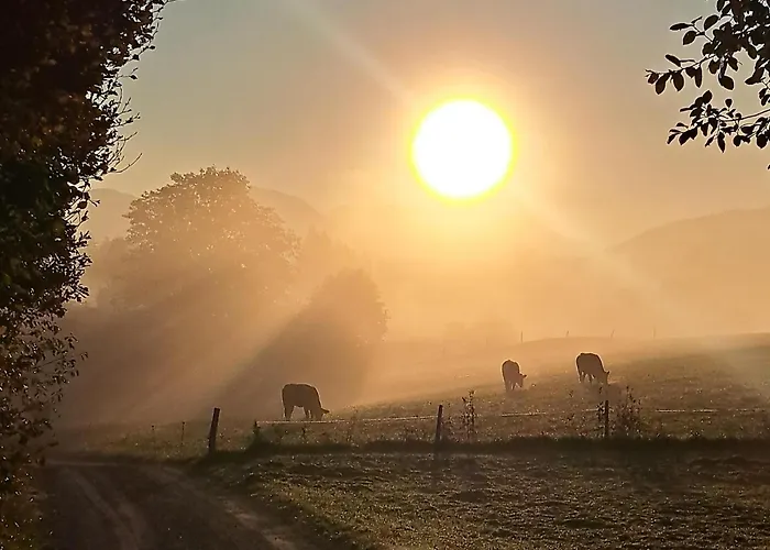 Almchalet Weberhof Апартаменты