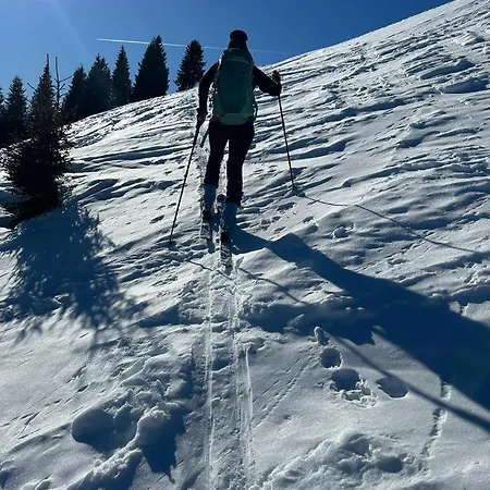 Almchalet Weberhof Apartment Going am Wilden Kaiser