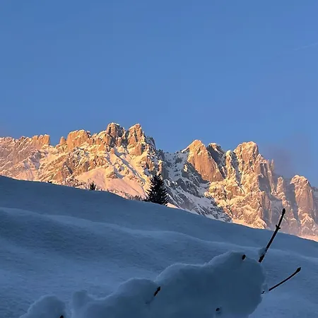 Almchalet Weberhof Apartment Going am Wilden Kaiser
