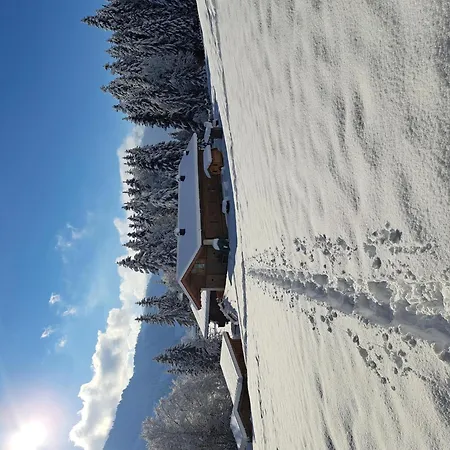 Almchalet Weberhof *