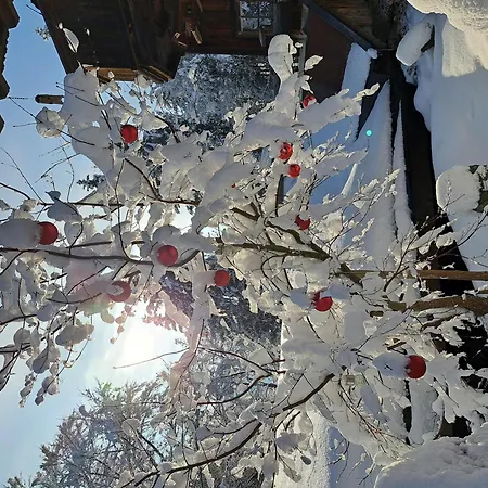 Almchalet Weberhof * Going am Wilden Kaiser